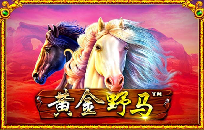 蜂鸟电竞是什么平台
